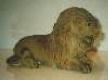 Lion - lion - Loeve - Leone