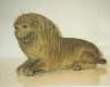 Lion - lion - Loeve - Leone