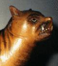 Tigerdog
