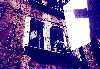 Finestre