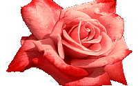 Rose's Page