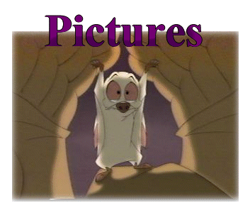 Bartok the Magnificent Pictures. Check back soon for more!