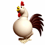 coq