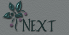 continuaci�n