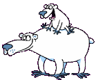 polar bears