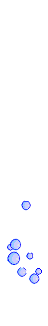 bubbles2.gif (27778 bytes)
