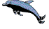 dolphin1.gif (5451 bytes)