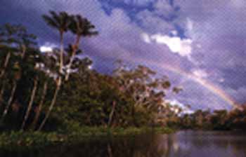 Amazon�a