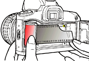 canon_cargar_carrete1.gif (17107 bytes)