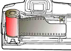 canon_cargar_carrete2.gif (16214 bytes)