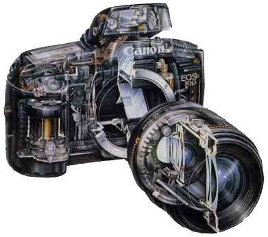 canon_foto_eos100.jpg (14491 bytes)