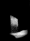 logo_pagper_castanyer.gif (1028 bytes)