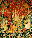 Tapestry