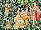 Tapestry