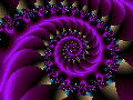 image11b.gif