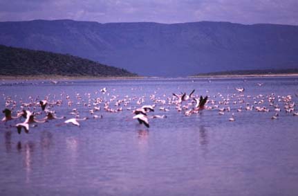 Img036.JPG (14680 byte)