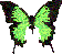 i_butterfly_lgreen.gif