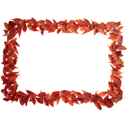 leaves_08.jpg