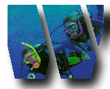 PADI