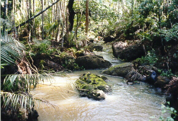 picture from our boonie stomp in the jungle