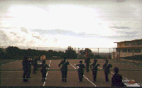 The Lowell Formation