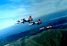 tya14.jpg