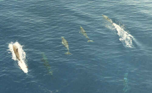 At Sea Photographs