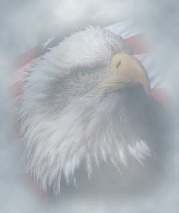 Resolve & Determination