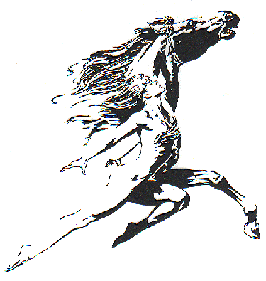 Flight