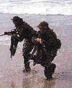 On The Beach