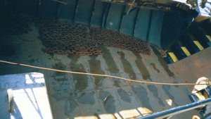 Buoy Deck