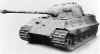 tiger2.jpg (24624 bytes)