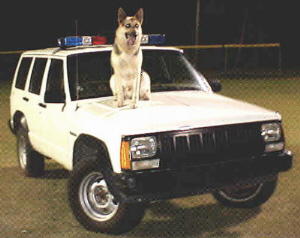 MWD Sigan Handler (MA2 White) Puerto Rico