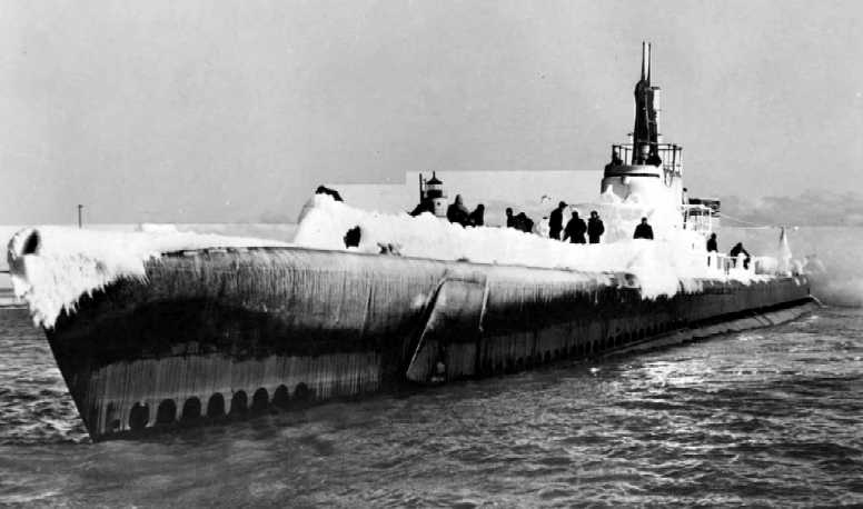 ss361-2.jpg