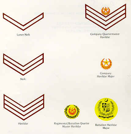 rank.jpg (22030 bytes)