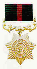 Click to see Campaign/War Medals