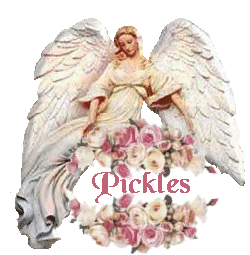 PICKLE'S TRUE BELIEVER AWADR