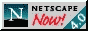 Download Netscape 4.0