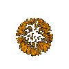 feux.gif (20049 octets)