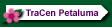 Official TraCen Petaluma Website