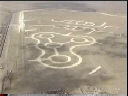 Crop Circles