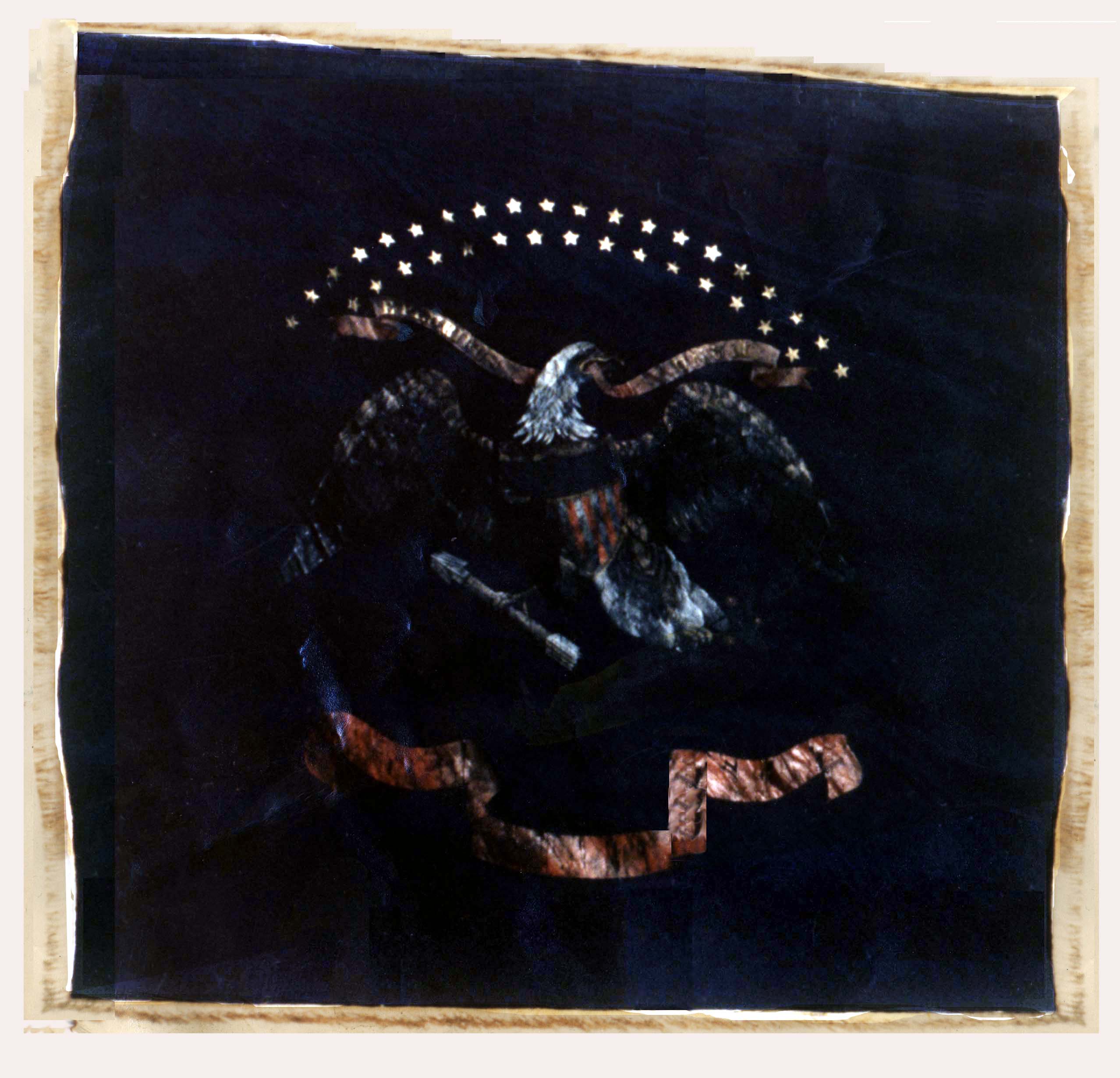 [The 35th Illinois Volunteer Infantry Regimental Flag]