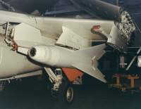 walla6.jpg