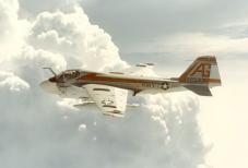 ag502.jpg