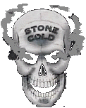 stnecold.gif (10090 bytes)