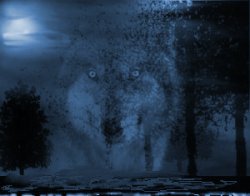 Night Spirit