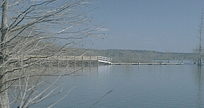 darbn1.gif (32482 bytes)