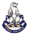 31st Infantry Regiment Association