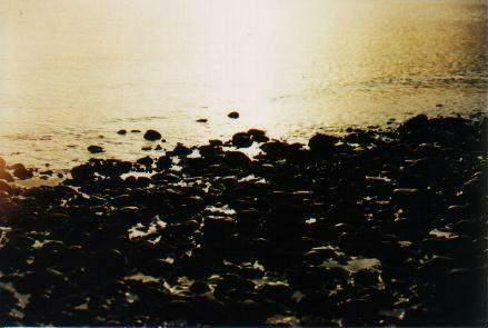 1.jpg (21545 bytes)