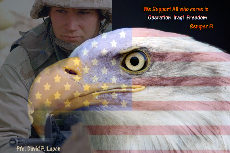 We Salute All Branches of Service